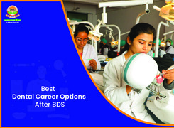 11 Best Dental Career Options After BDS